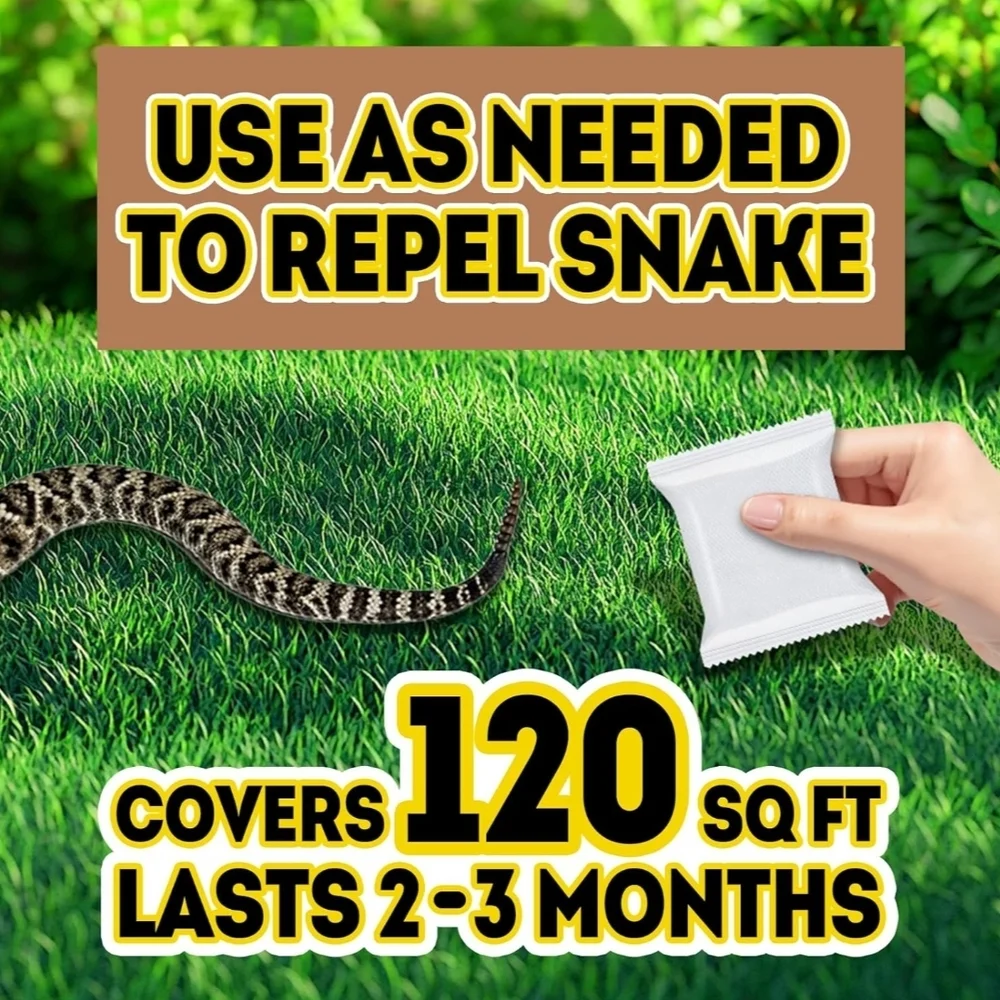 Brown Reptile Habitat Maintenance Essentials